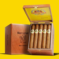 Baccarat cigar category