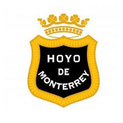 Hoyo De Monterrey cigar category