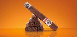 Picture for category AVO Syncro Nicaragua