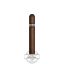 Buy Cohiba Robusto Fino Online Cohiba Robusto Fino Cigar