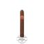 Buy Partagas Robusto Online Partagas Robusto Cigar