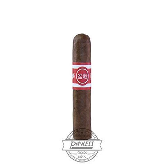 Aganorsa Leaf Cigar Dojo Bonsai Single Cigar Image