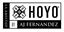 Hoyo La Amistad Logo Hoyo La Amistad Logo