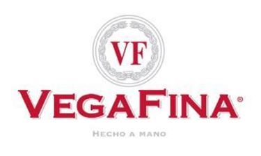 VegaFina Logo VegaFina Logo
