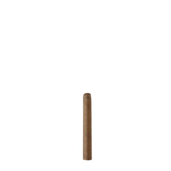 Ferio Tego Metropolitan Connecticut Petites (5-pack) Stick